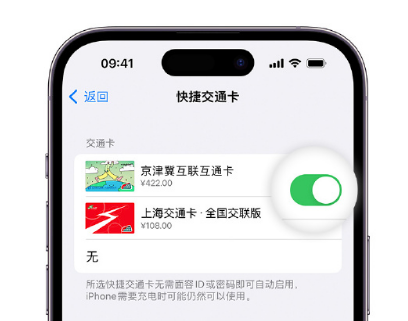 峄城apple维修点分享iPhone上更换Apple Pay快捷交通卡手绘卡面 