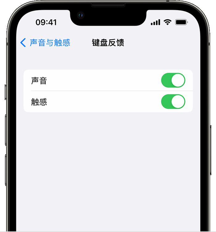 峄城苹果14维修店分享如何在 iPhone 14 机型中使用触感键盘 