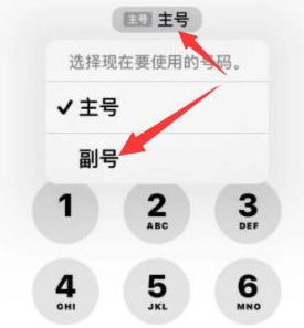 峄城苹果14维修店分享iPhone 14 Pro Max使用副卡打电话的方法 