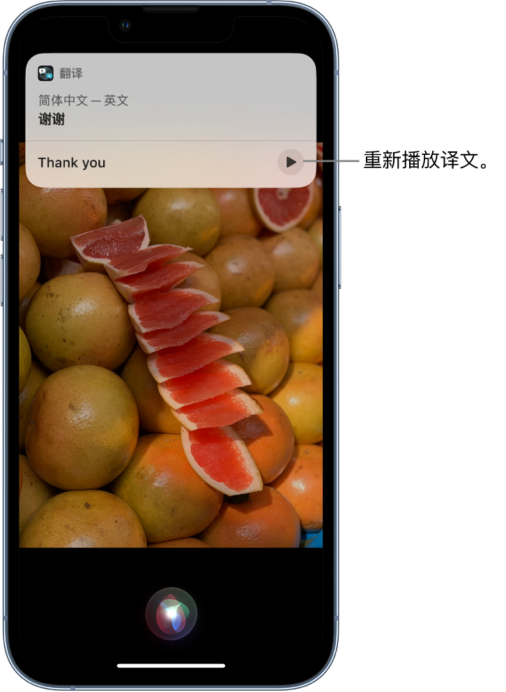 峄城苹果14维修分享 iPhone 14 机型中使用 Siri：了解 Siri 能帮你做什么 