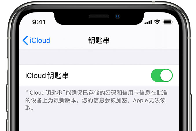 峄城苹果手机维修分享在 iPhone 上开启 iCloud 钥匙串之后会储存哪些信息 