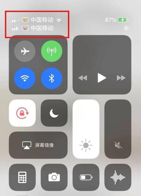 峄城苹果手机维修分享为 iPhone 12 双卡设置标签 