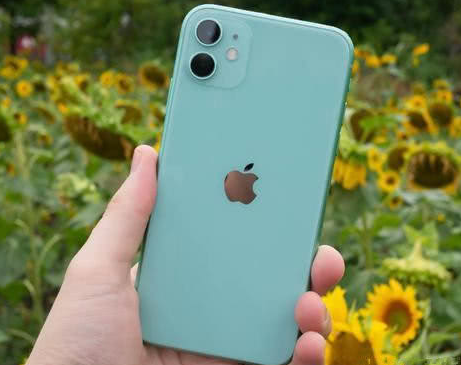 峄城苹果维修点分享iPhone 11锁屏密码认知与使用科普 